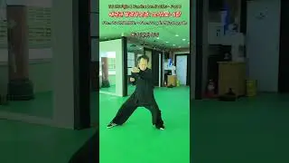 Tai Chi Fajin & YunJin : LaoJia ErLu - Part 6: Form 19 : lǐbiānlǐbiān ~ Form 22 : yǎnshǒugōngqu&aacute;n