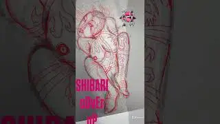 SHIBARI COVER UP.