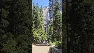 The Nature of Beauty! #yosemite