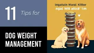 11 Tips For Managing Dog's Weight Gain And Loss