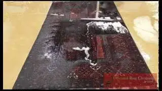 Correcting Dye Bleed in a Rug in Palm Beach