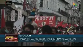 Ecuador: Farming sector joins protests