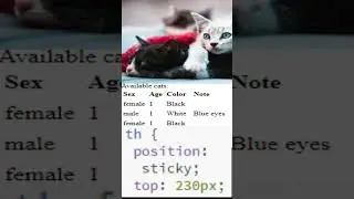 CSS table th sticky