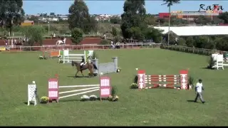Transmiss&atilde;o ao vivo de Camera Hipismo