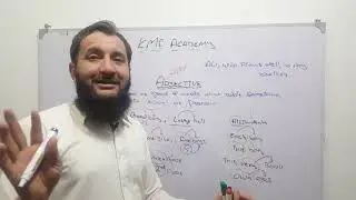 Hindi, Urdu, Adjective, types of adjective, kinds, Dr Shoaib Kakar Adv, KMF Academy,
