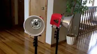 alienbees b400