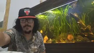 FORMATO NOVO DE VÍDEO 