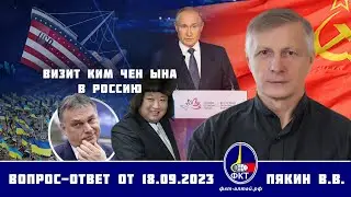 Валерий Викторович Пякин. Визит Ким Чен Ына в Россию