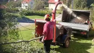 Tr&auml;df&auml;llning bit f&ouml;r bit, Tr&auml;dbesk&auml;rning, Bortforsling, Skogsr&ouml;jning, Flistugg, Stubbfr&auml;s, mm...