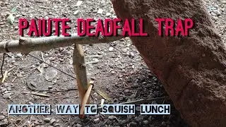 Paiute deadfall trap