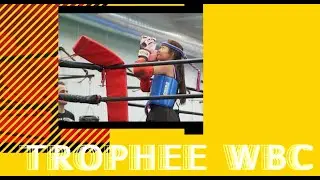 Trophée WBC la Mézière Rennes MTF 85
