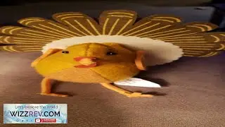 Target Spritz 2022 Thanksgiving Fall Turkey Bird New eBay