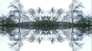 Feonix - Eclipse (Official Video)