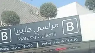 Marassi Galleria bahrain #bahrain #lionfish 🐠🐟🐟🐟🐟🐟🐟#zoo 🫶