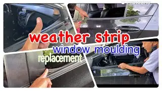car | window moulding | weather strip | replacement