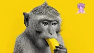 Learn  Colors With Animal Friend Nursery Rhymes gogo tv for fun 