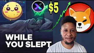 To $5!! Massive Crepe, Xpin, ShibaInu Pump! Prophetic Dream | CrepeProphecy | XpinProphecy