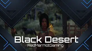 Black Desert Online - Horse Racing & Kagtum Grind