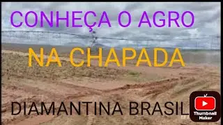 CASCAVEL E AGRONEGÓCIO EM ALTA...