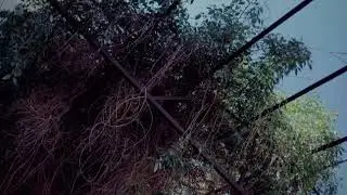Bahrain movies