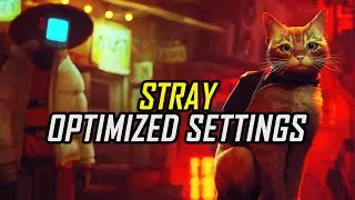 Stray | Optimized PC Settings for Smoother Gameplay