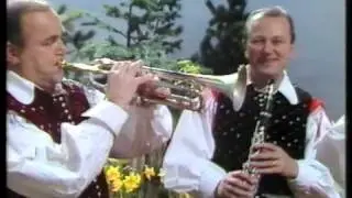 Alpenoberkrainer - Alpski Schwung