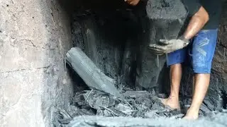 Panen arang super jumbo jumbo