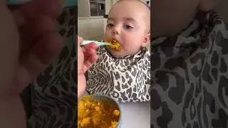 Как мы, отцы-геи, разделяем родительские обязанности