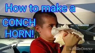 How to make a conch horn!