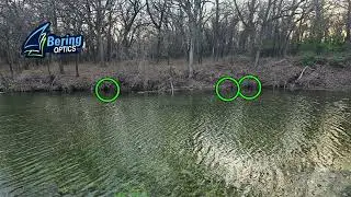 Bering Optics @CarpeSus #beaver #hunting on property.  Super Hogster LRF beaver explosion #ducks