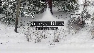 Snowy Bliss (Snow Ambience) (No Music) (3 Hours)