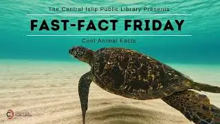 Fast Fact Friday - Cool Animal Facts