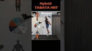 Hybrid Workout &ndash; Tabata HIIT Conditioning I Quick