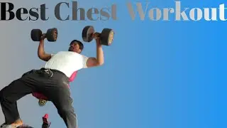 Best Chest Workout 