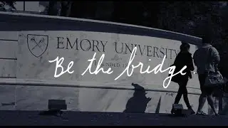 Be the bridge