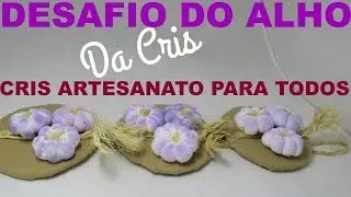 DESAFIO DO ALHO DA CRIS ft. Simone Braga