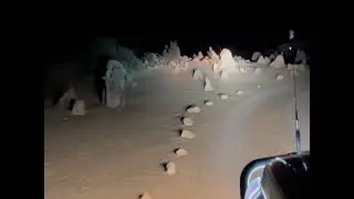Pinnacles by night