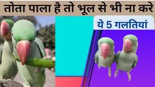तोता पाला है तो भूल से भी ना करें ये 5 गलतियाँ 🦜🦜🦜 @Sunilyoutuber7