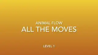 Animal Flow: all the moves from Level 1