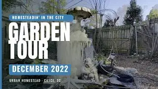 Homesteadin In The City: December 2022 Garden Tour