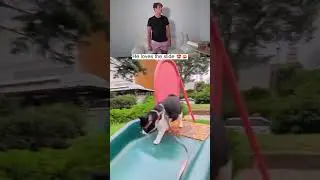 Ему это очень нравится 😂❤️