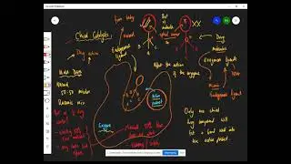 Chiral catalysts