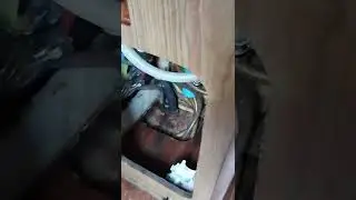 re-stepping the mast 3