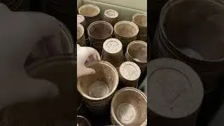 Coconut Fiber Plant Transplant Growing Bulk Gardening Kit Gardening Planting Kit Coir Pot