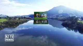 The Daily Report