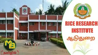 ஆடுதுறை Rice Research Institute|Aduthurai rice varieties| ADT varieties|