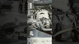 Diesel vs Benziner (OM601 vs. M102)