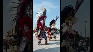El rezo que se escucha con los pies Concheros Olmos 12de Diciembre #bas&iacute;licadeguadalupe #tradiciones