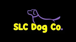 SLC Dog Co. Vella first week boarding and training. 