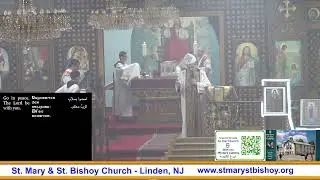 Sunday Divine Liturgy 1/25/2026 قداس الأحد الإلهى
